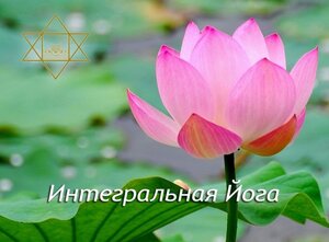 integral-yoga-section-header-568x419.